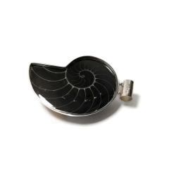 Wisior muszla w srebrnej oprawie