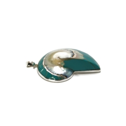 Muszla w srebrnej oprawie