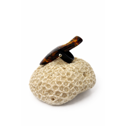 Pierścionek z bryłką bursztynu