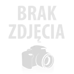 Automatyczny wizytownik z naturalnym bursztynem