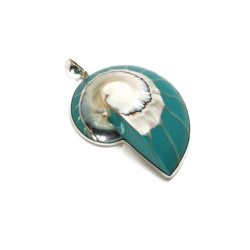 Muszla w srebrnej oprawie